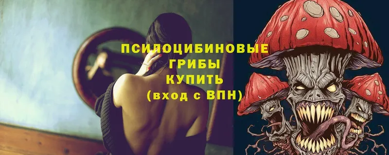 Галлюциногенные грибы Psilocybine cubensis Киселёвск